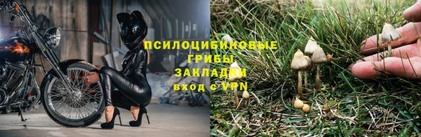 мет Осинники