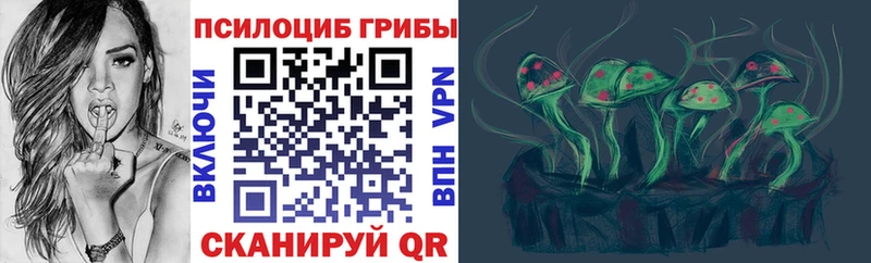 закладка ОМГ ОМГ сайт Псилоцибиновые грибы Magic Shrooms Ельня